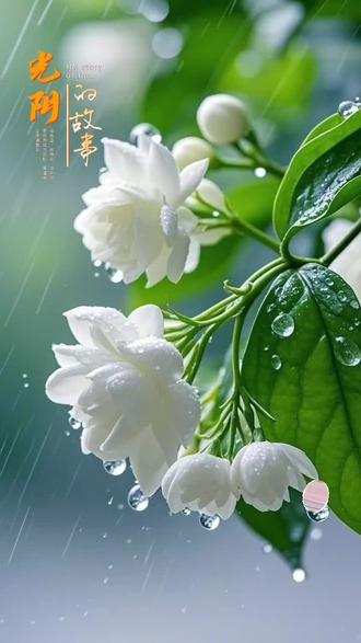 什么然大什么,什么然大什么四字成语 什么然大什么,什么然大什么四字成语