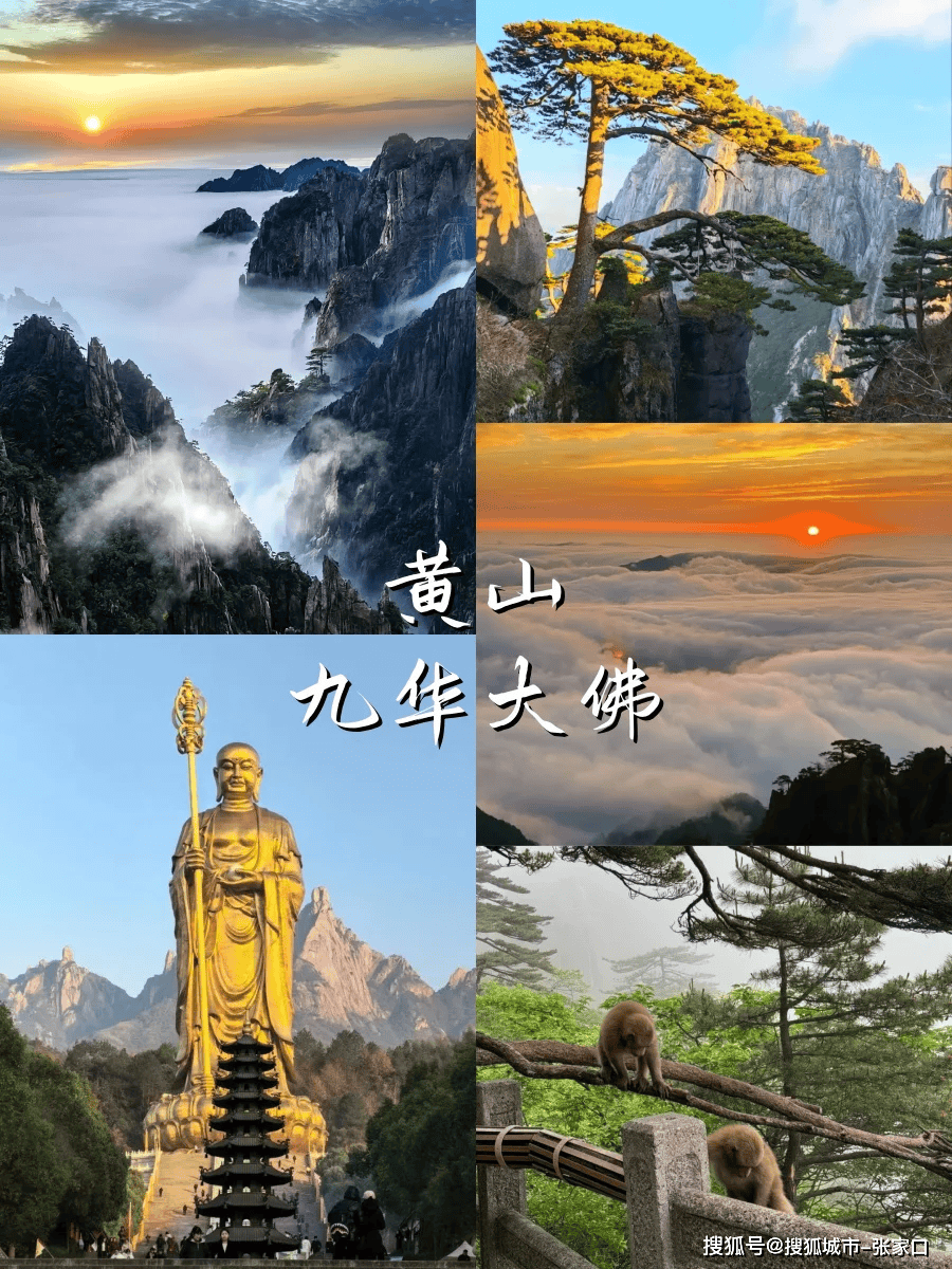 黄山海拔多少米高,黄山海拔多少米高度 黄山海拔多少米高,黄山海拔多少米高度