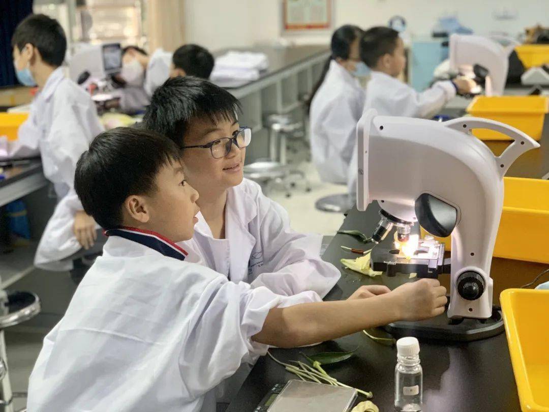 小东生命科学,姜东生命科学简介 小东生命科学,姜东生命科学简介