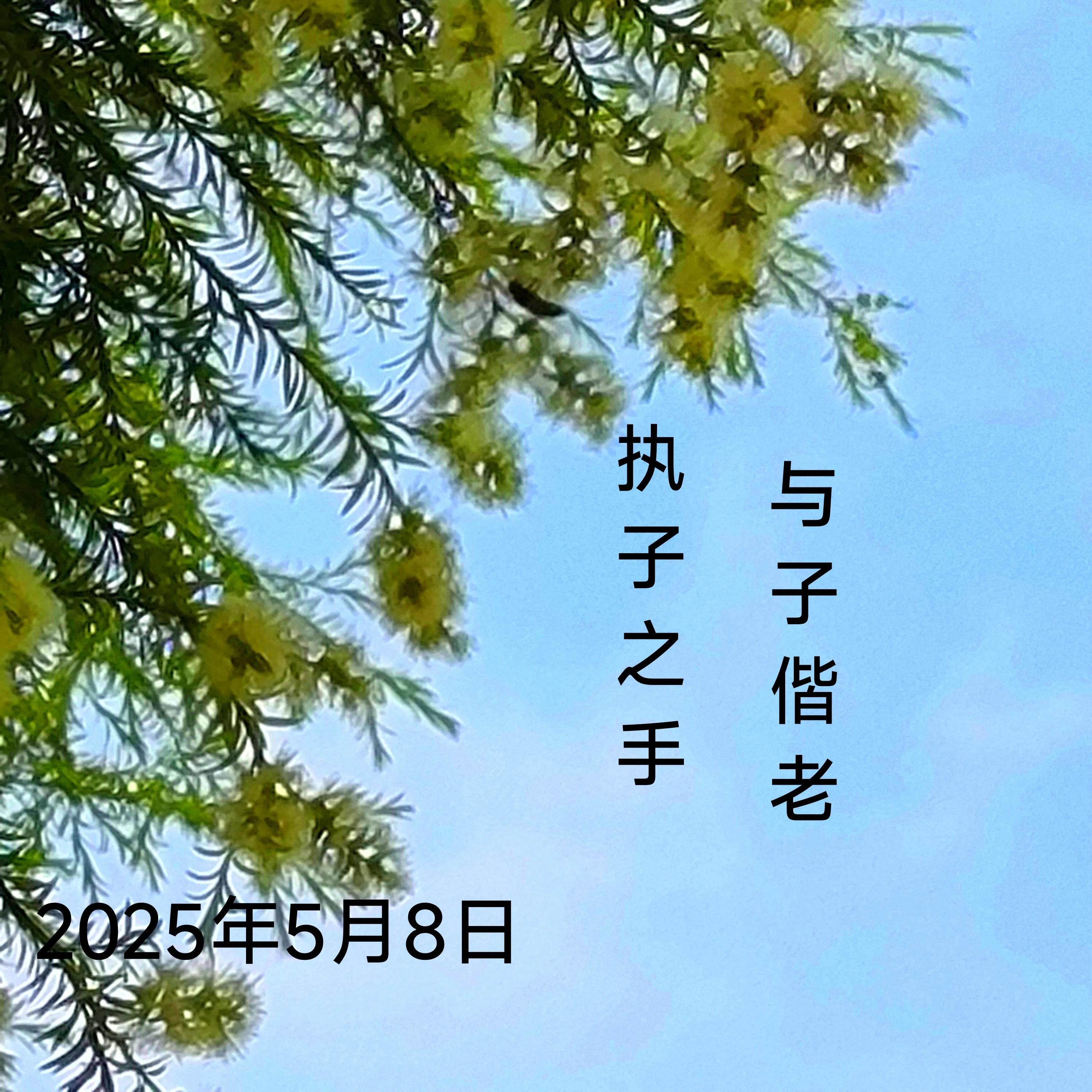 类似执子之手与子偕老,执子之手与子偕老全文完整版 类似执子之手与子偕老,执子之手与子偕老全文完整版