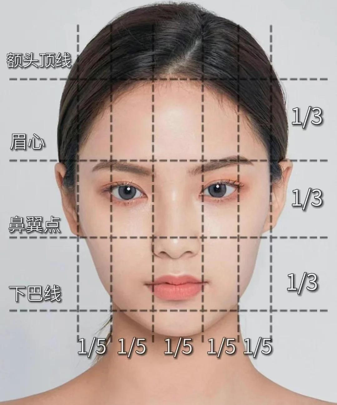 标准脸型比例,标准脸型比例图片