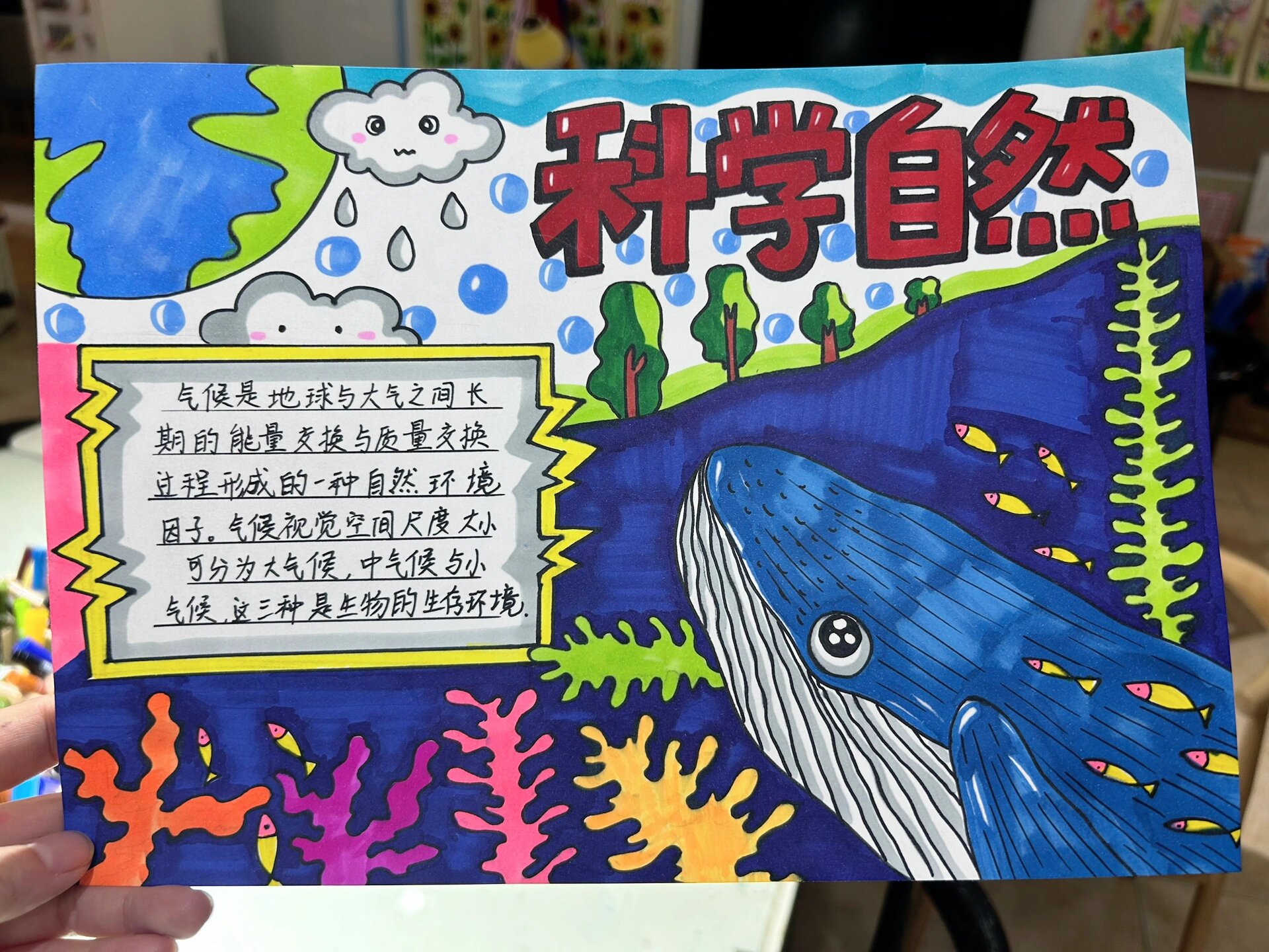 生命科学小报八上,初二生物手抄报内容简单又好看