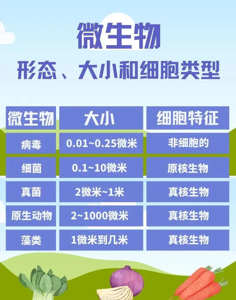 生命科学类词条,生命科学类词条有哪些 生命科学类词条,生命科学类词条有哪些