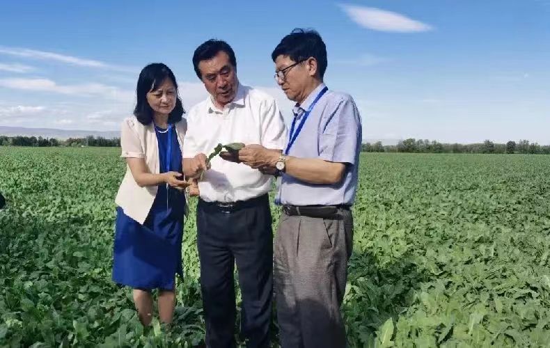 生命科学学院院士陶然,陶然院士的研究成果应用