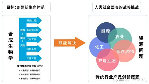 未来生命科学发展,2019年生命科学十大科学进展 未来生命科学发展,2019年生命科学十大科学进展