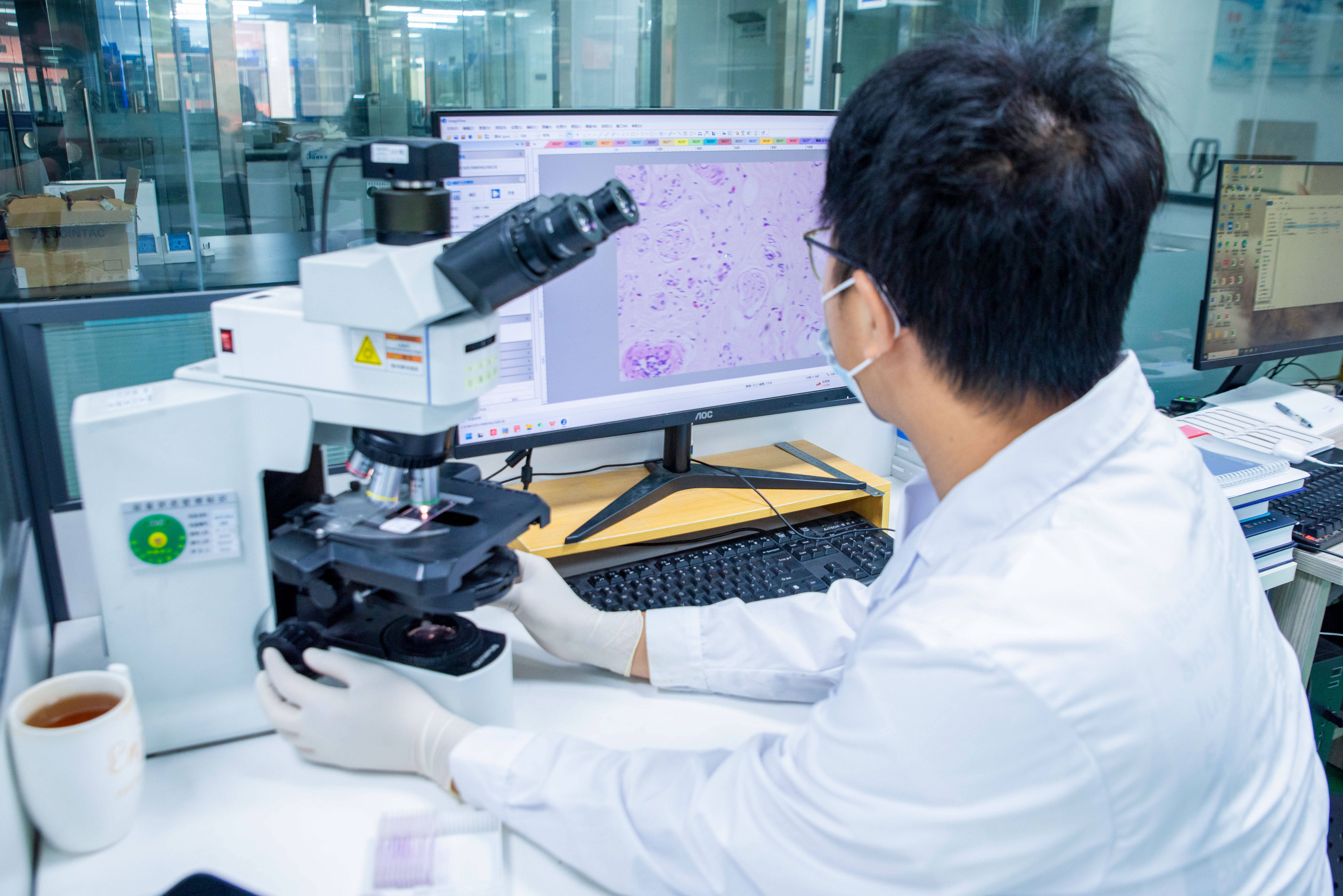 生命科学材料学,生命科学材料学就业前景 生命科学材料学,生命科学材料学就业前景
