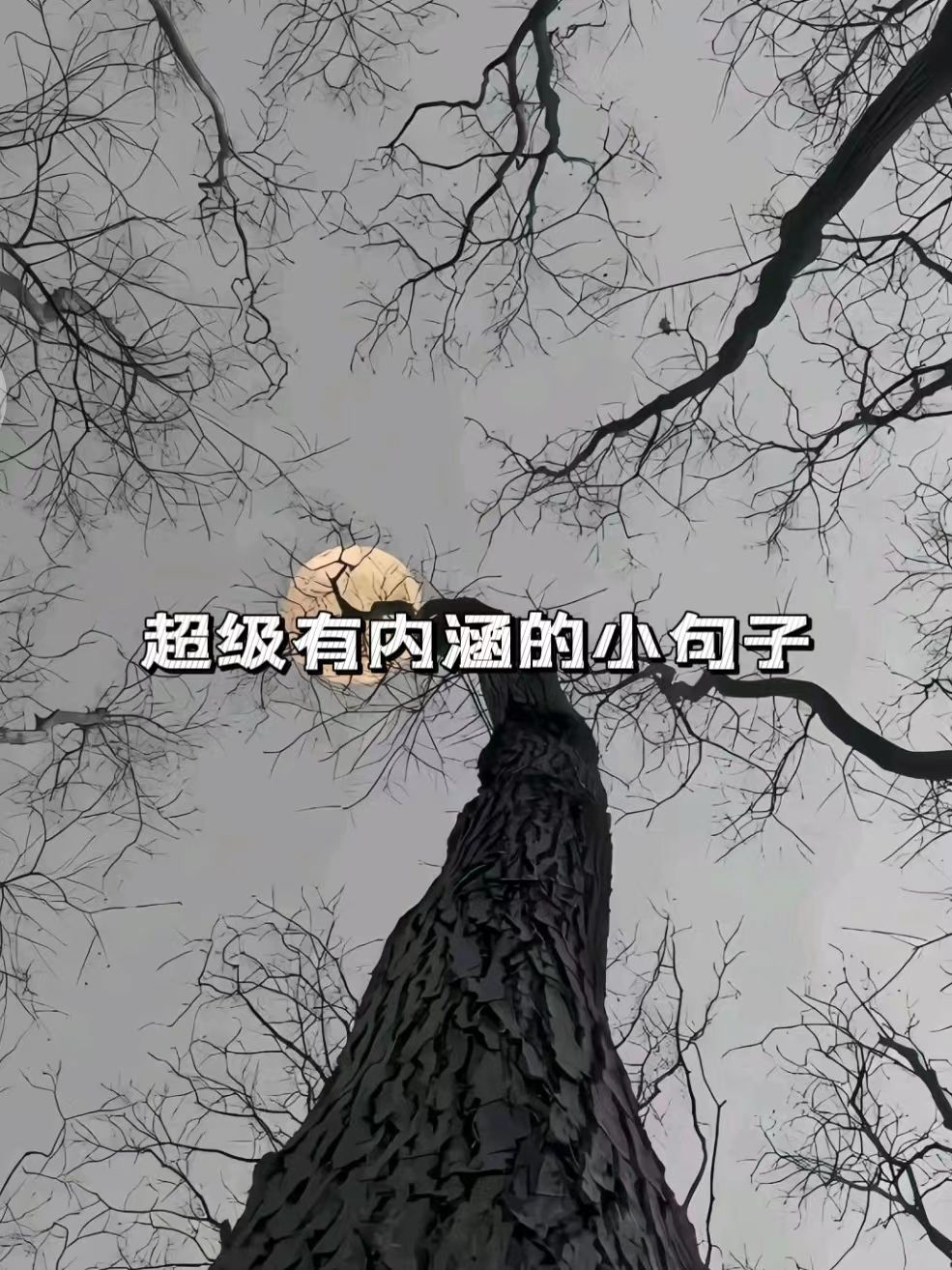 内涵句子,内涵句子搞笑