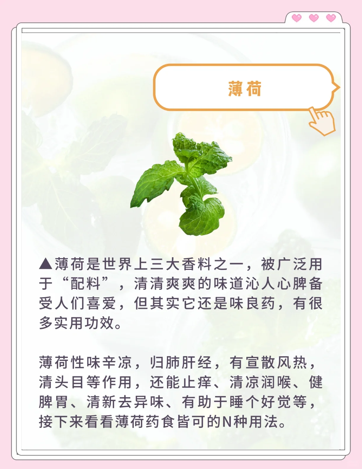 薄荷的吃法,薄荷的吃法大全家常做法 薄荷的吃法,薄荷的吃法大全家常做法