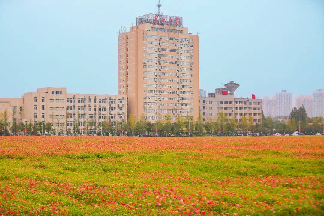 长江大学地球科学学,长江大学地科院十佳大学生事迹 长江大学地球科学学,长江大学地科院十佳大学生事迹
