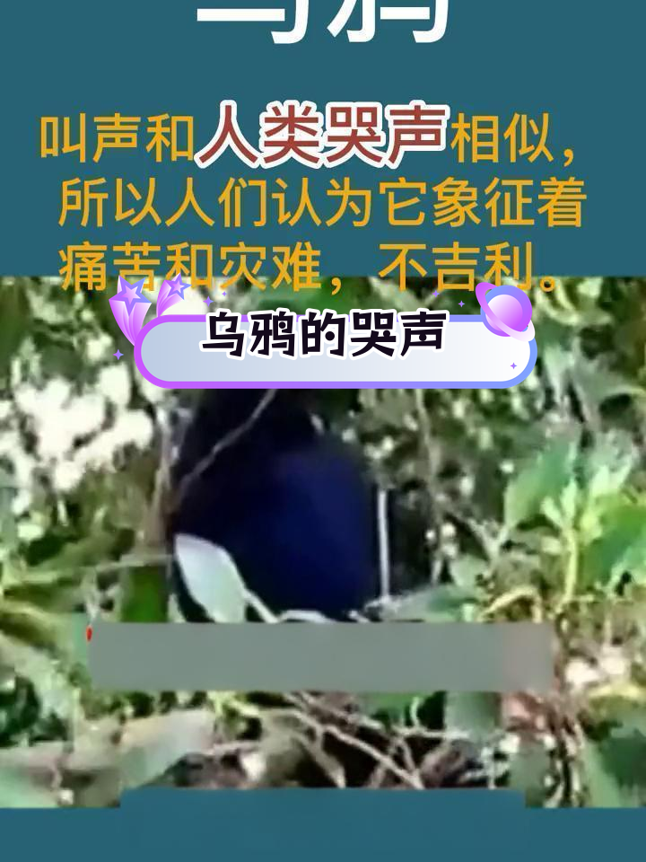 乌鸦的叫声怎么形容,乌鸦的叫声怎么形容拟声词