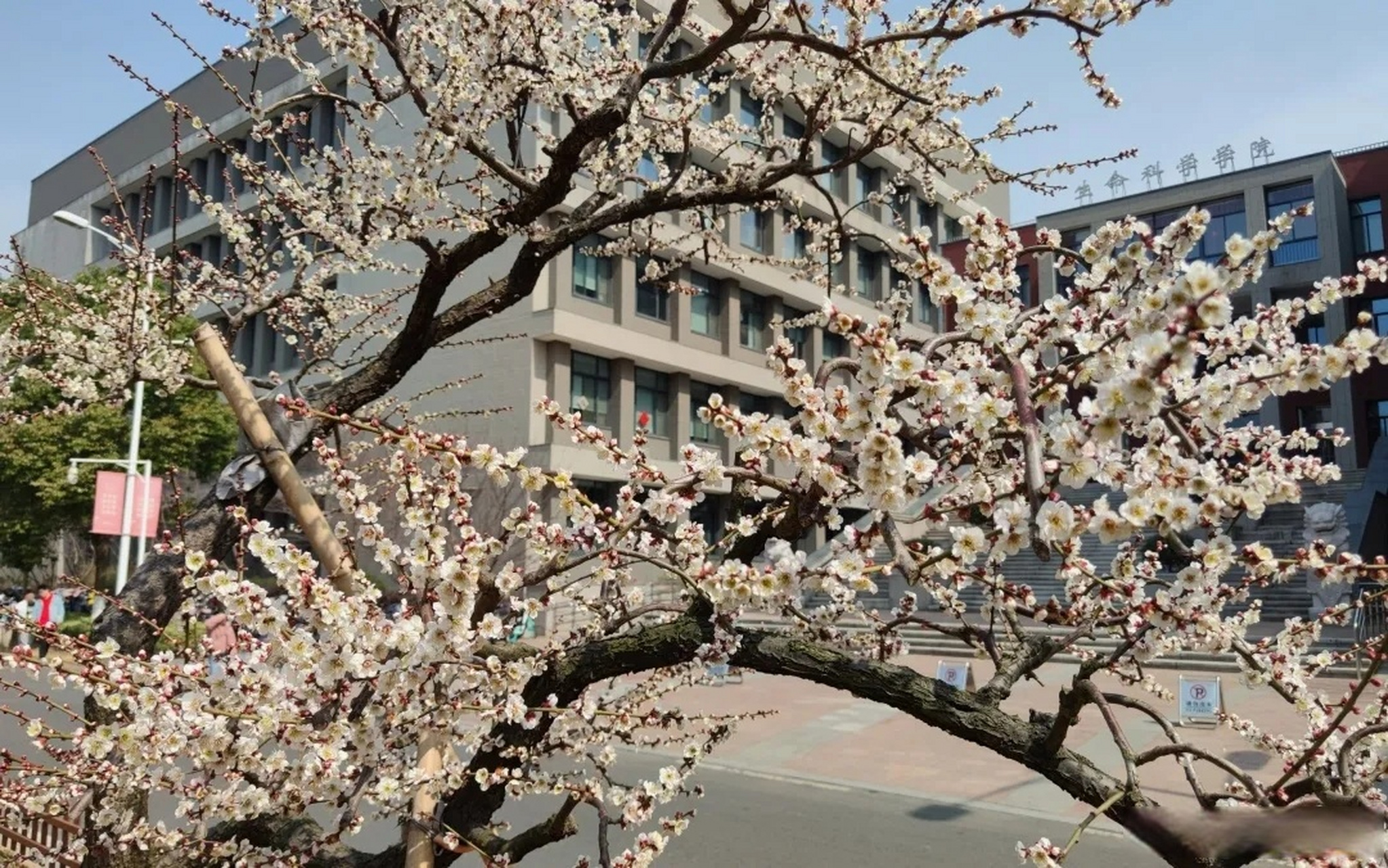 苏州星海生命科学班,苏州星海初中好班怎么进 苏州星海生命科学班,苏州星海初中好班怎么进