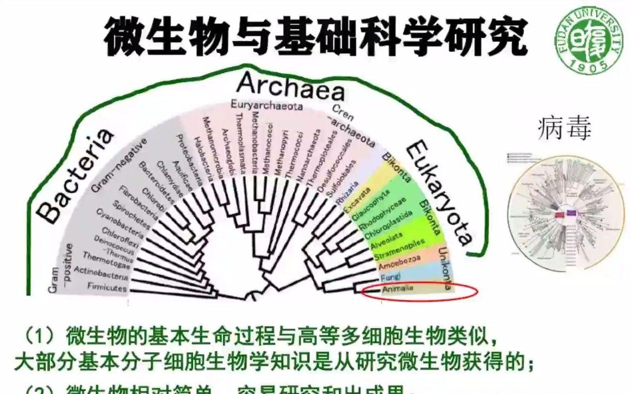 生命科学免疫学简介,生命科学概论普通生物学