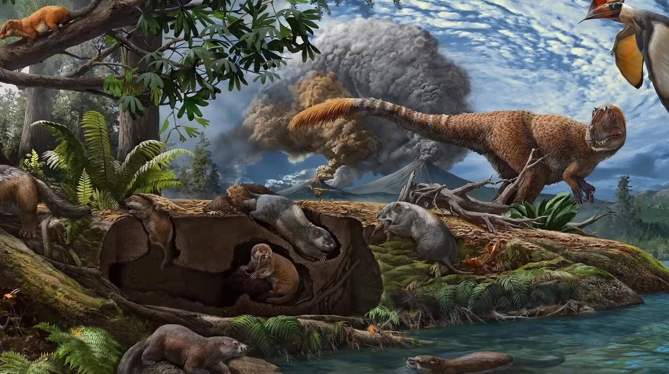 地球科学和生物科学,地球科学与地理学区别