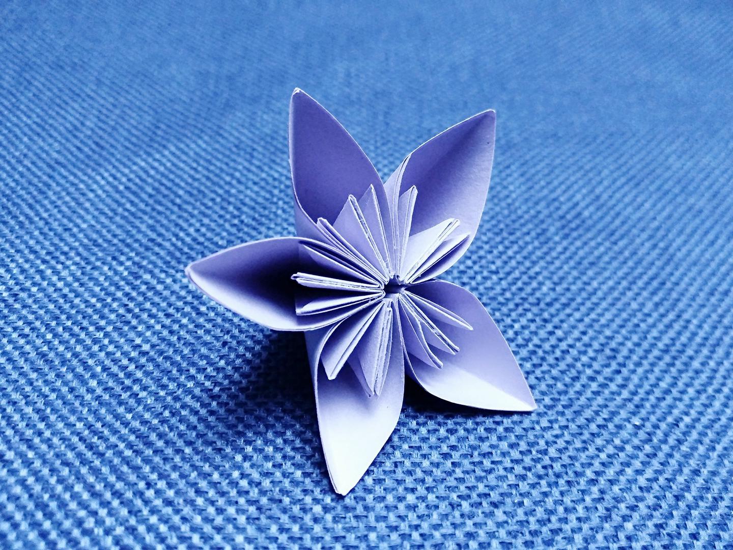 折纸樱花,一半蝴蝶一半玫瑰花怎么折