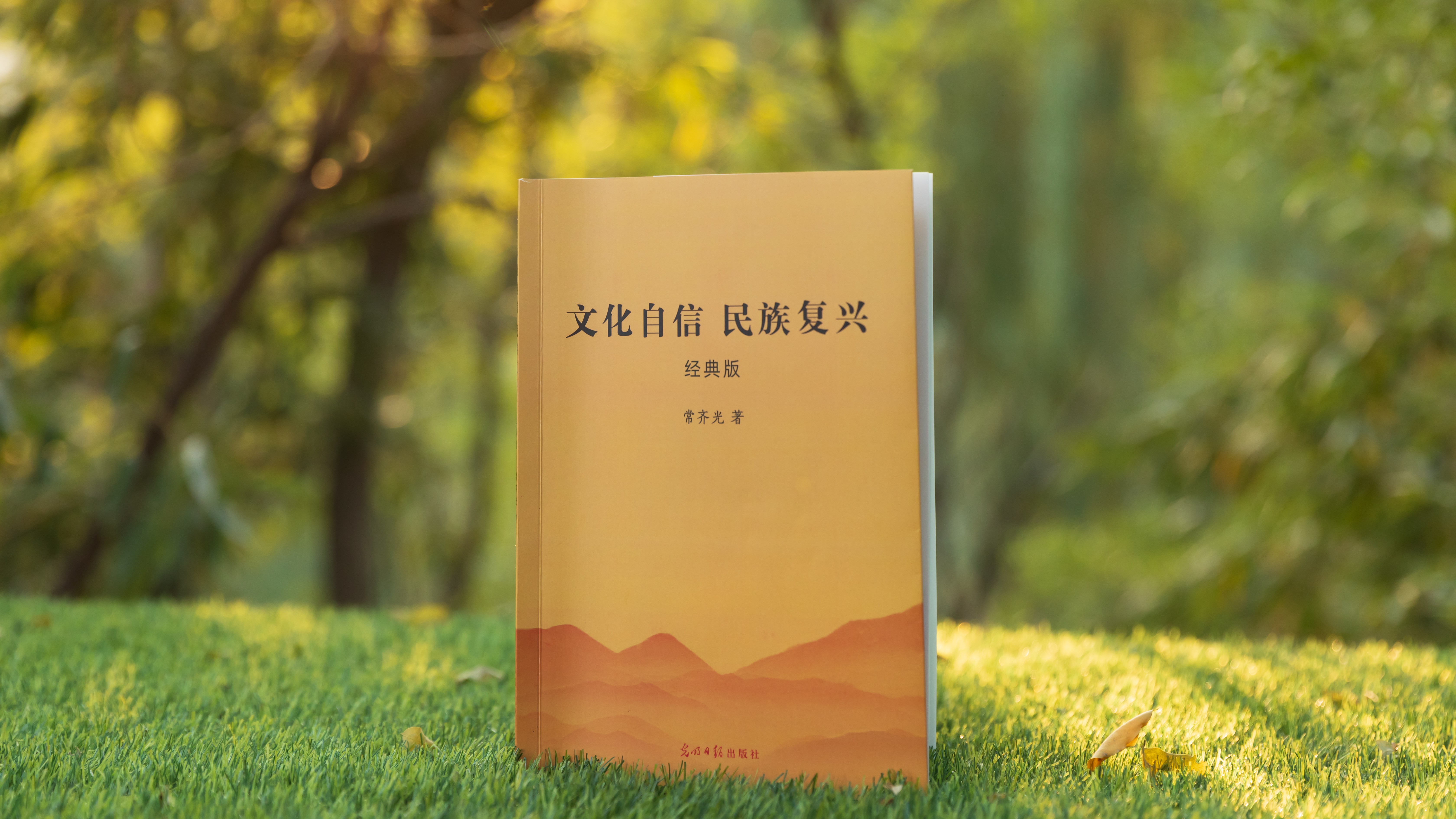 文化自信的理解,简述文化自信的来源 文化自信的理解,简述文化自信的来源
