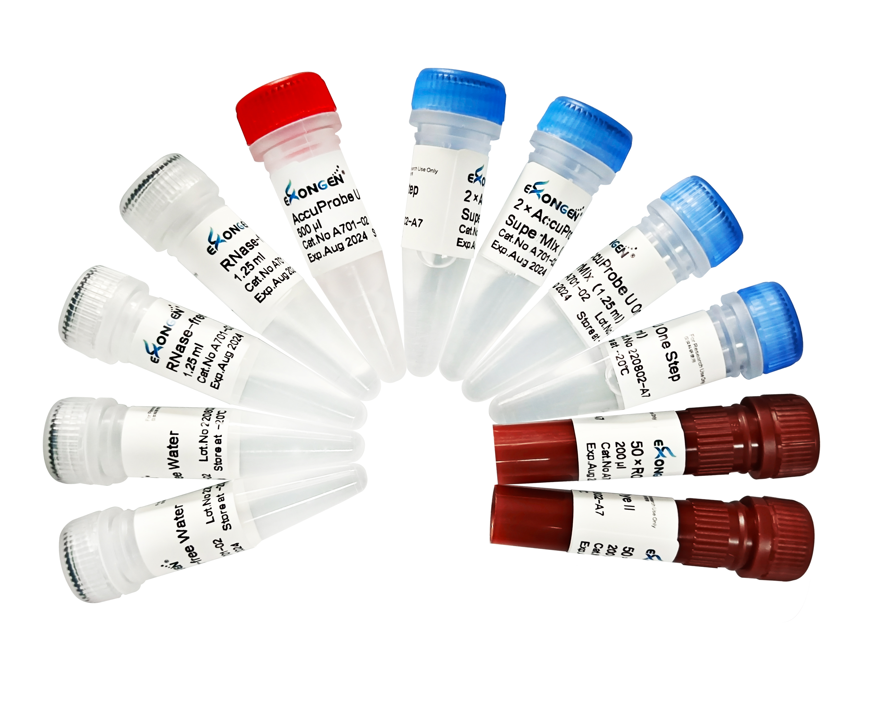 生命科学工具酶,生命科学名著细胞cells 生命科学工具酶,生命科学名著细胞cells