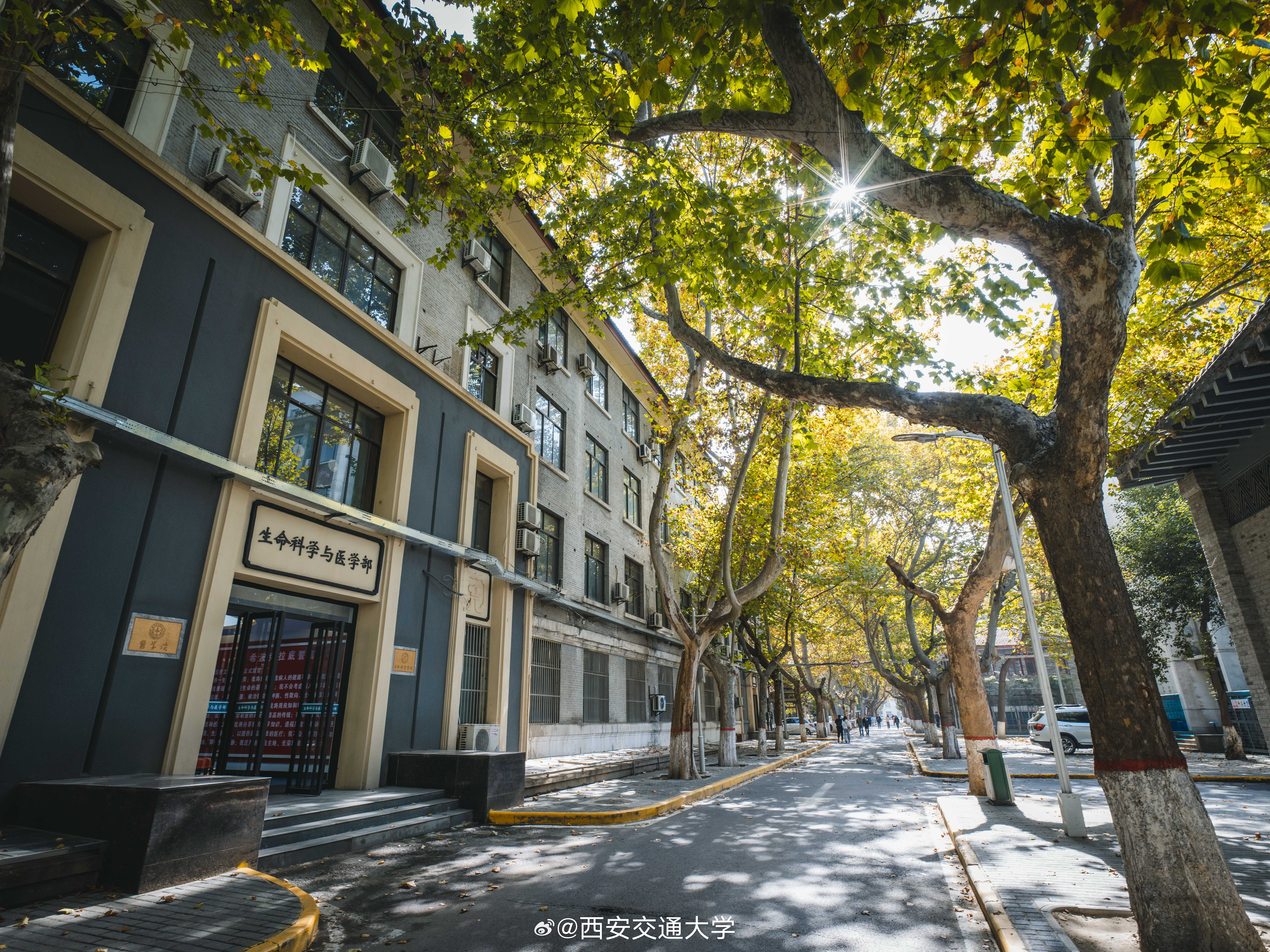 西北大学生命科学大楼,苏纪勇在生命科学有啥研究