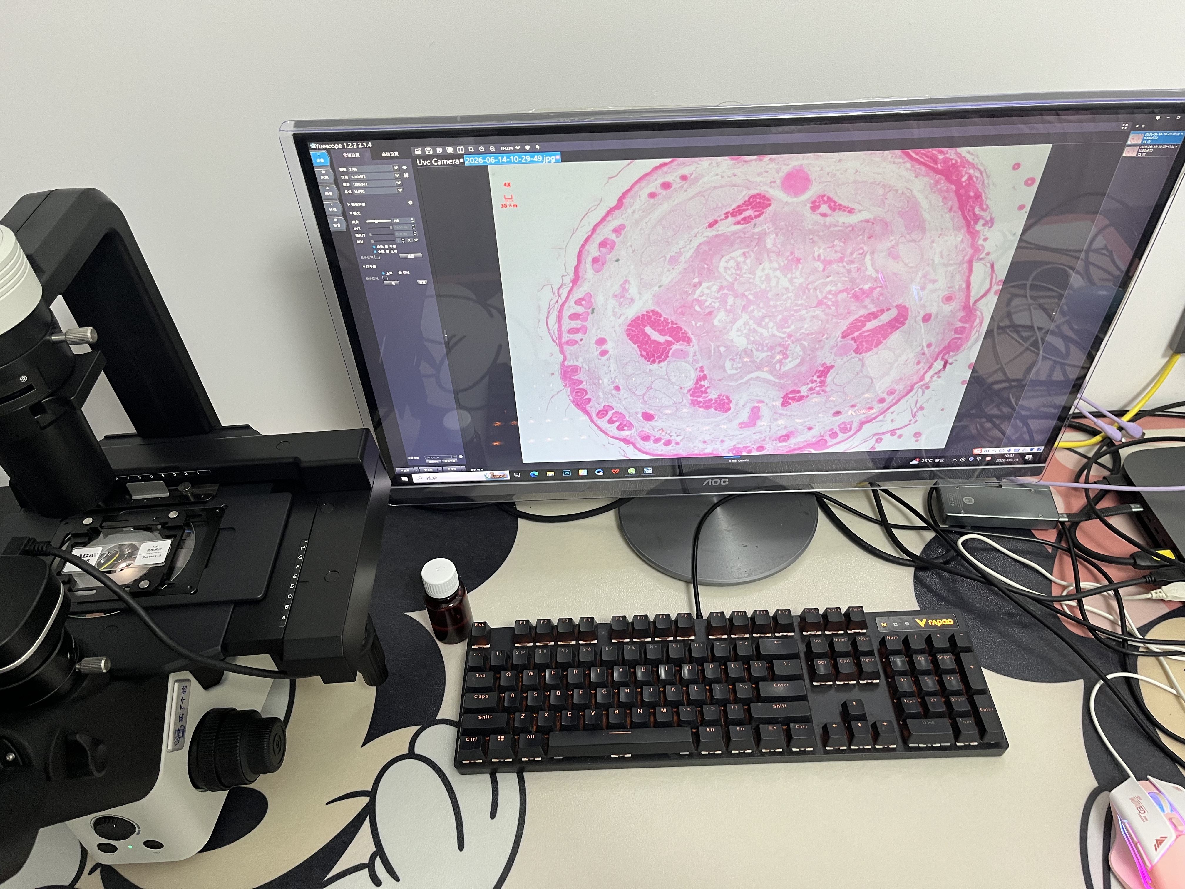 生命科学显微镜,生命科学显微镜实验