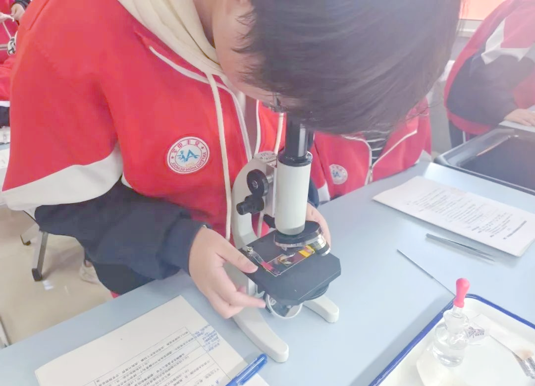 洋葱的生命科学,洋葱的起源和传播历史 洋葱的生命科学,洋葱的起源和传播历史