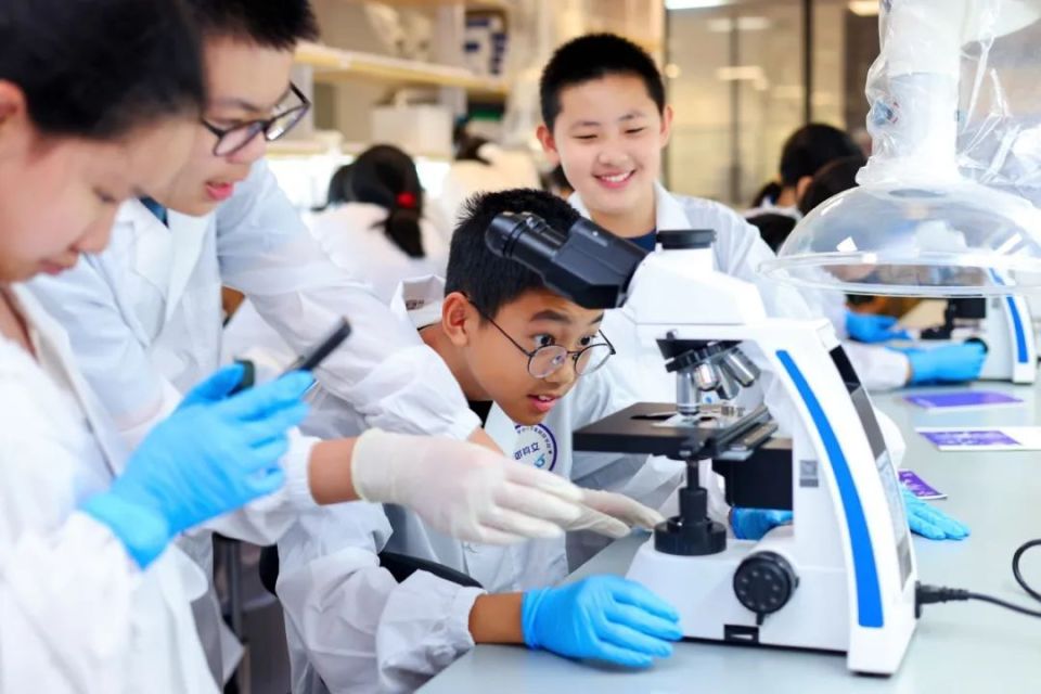 生命科学与小学关系,生命科学与人类生活的关系