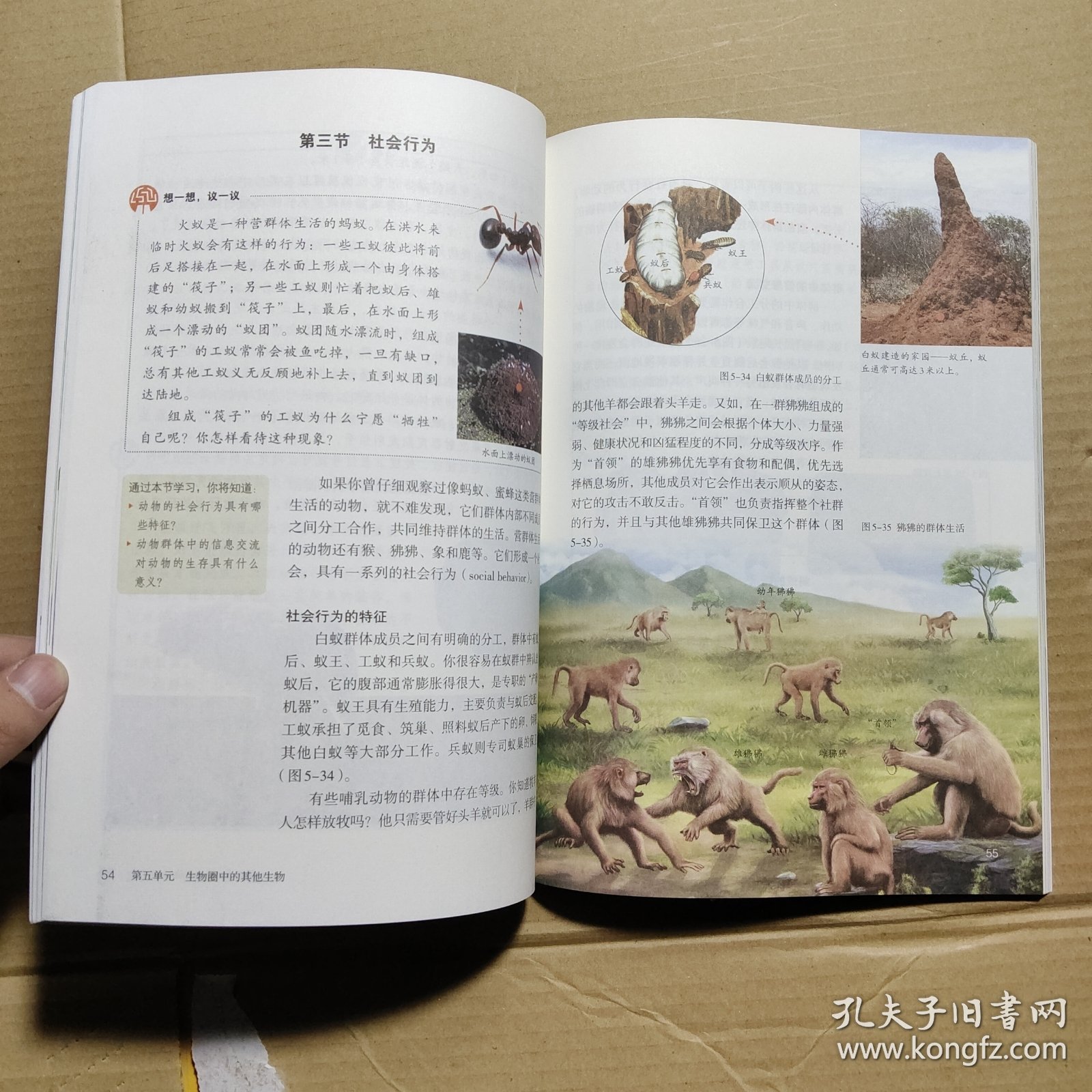 生命科学的教育意义,生命科学对人类未来的影响