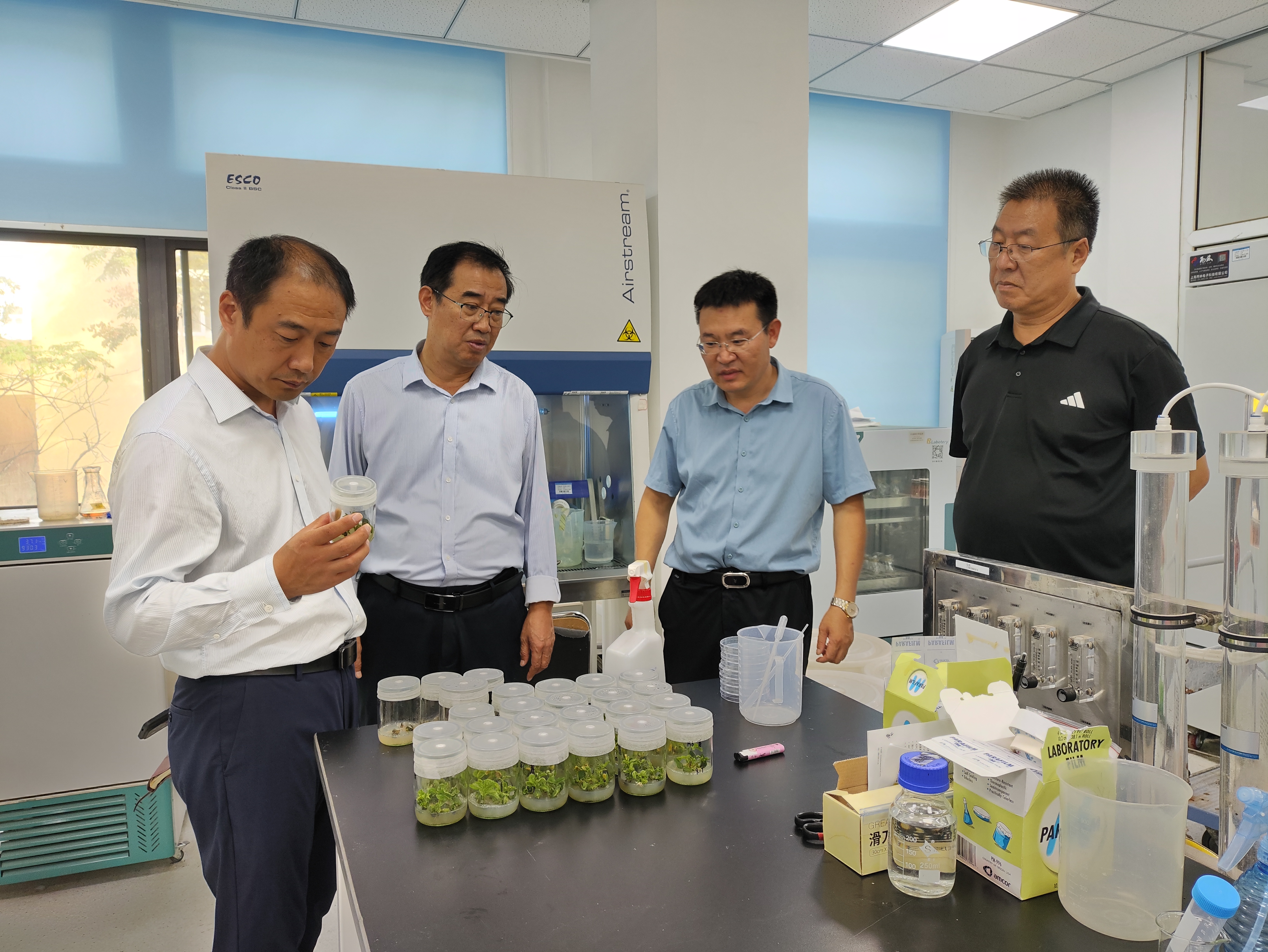 生命科学院实验图片,2026科学实验目录图片