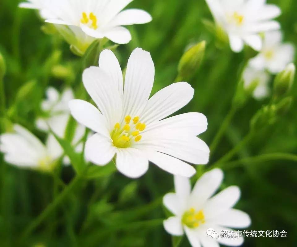 随和的人属于什么性格,随和的人属于什么性格和特点