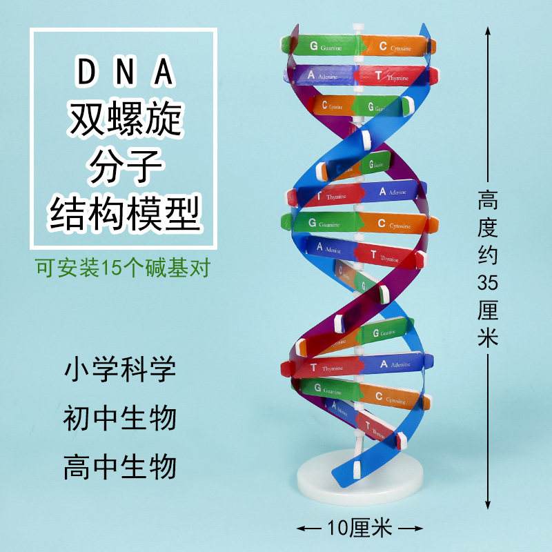 生命科学笔译教学内容,生命科学笔译教学内容是什么