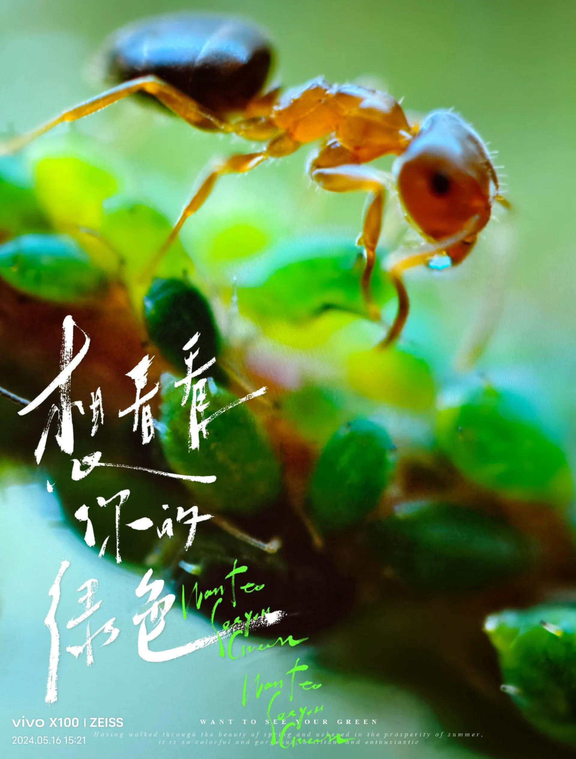 电影和生命科学,电影和文学哪个强