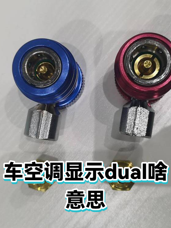 dual什么意思,gradual什么意思 dual什么意思,gradual什么意思