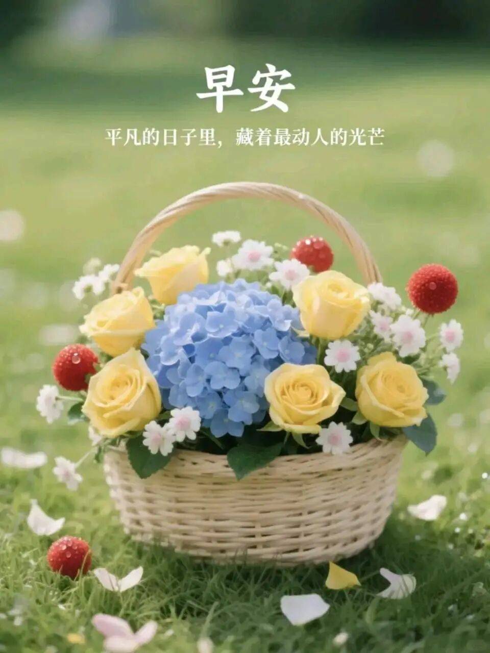 清晨寄语正能量,清晨寄语新的一天正能量 清晨寄语正能量,清晨寄语新的一天正能量