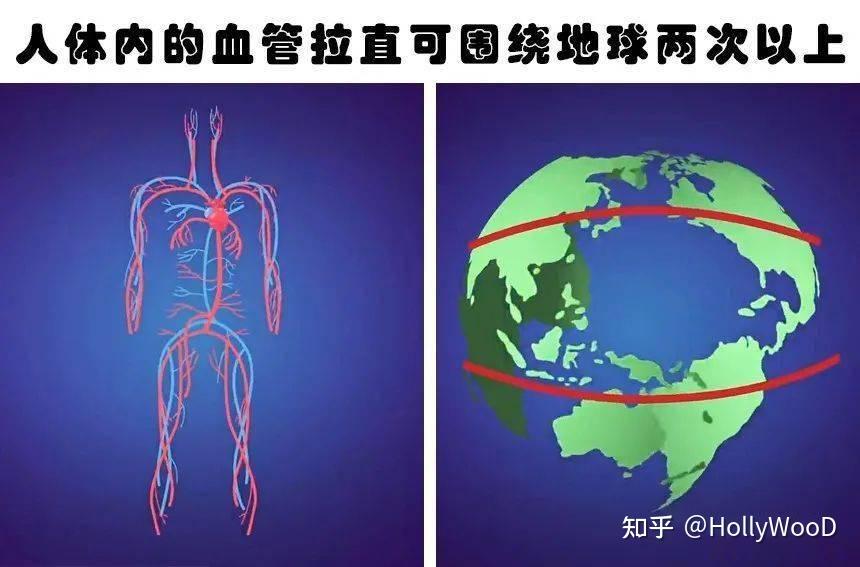 2019年生命科学十大科学进展