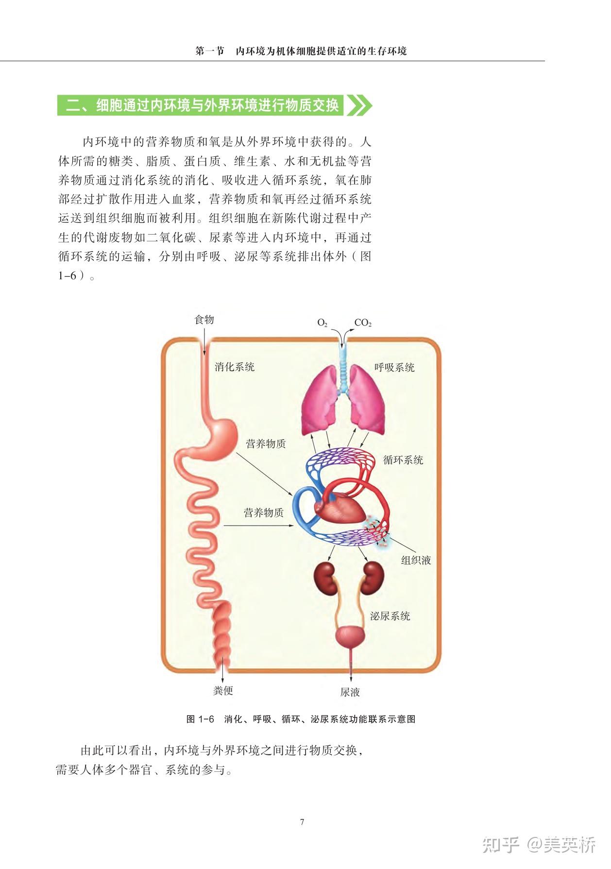上海高中生命科学是不是生物