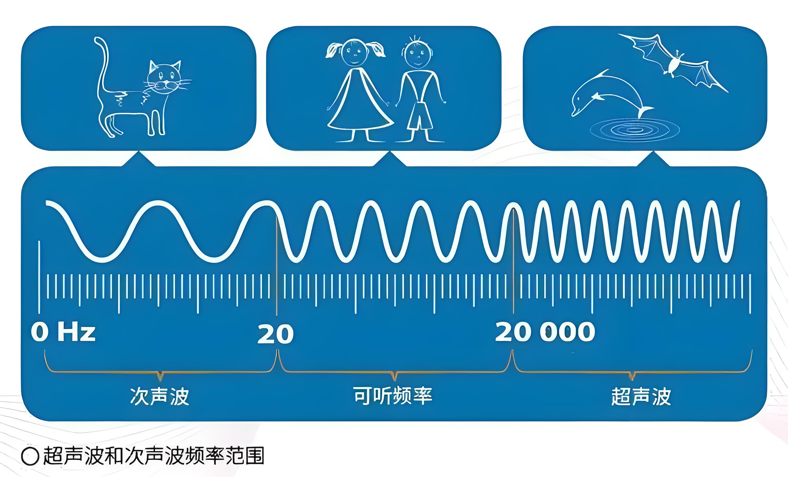 超声波测距原理八年级上册物理