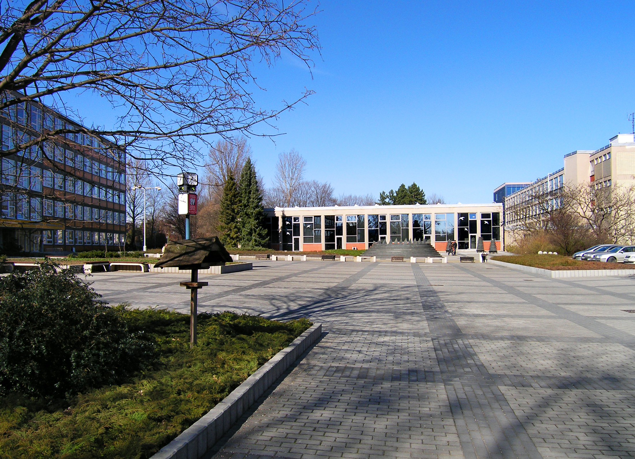 ubc医博类学科排名qs ubc医博类学科排名qs