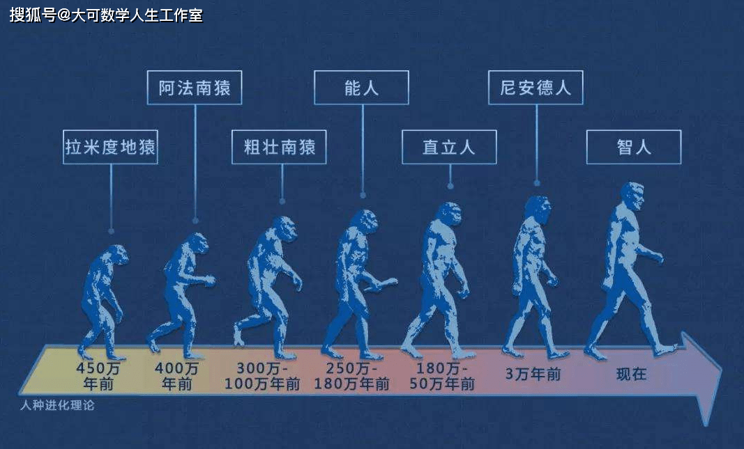 生命科学集在线阅读 生命科学集在线阅读