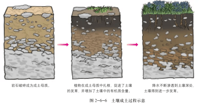 地球科学概论土壤剖面的定义和特征