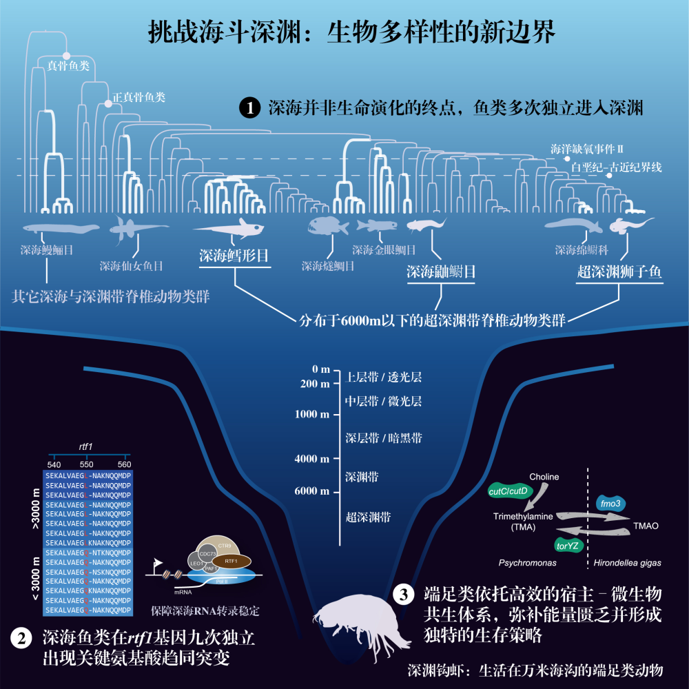 科技前沿观点 时事新例 名言金句 科技前沿观点 时事新例 名言金句