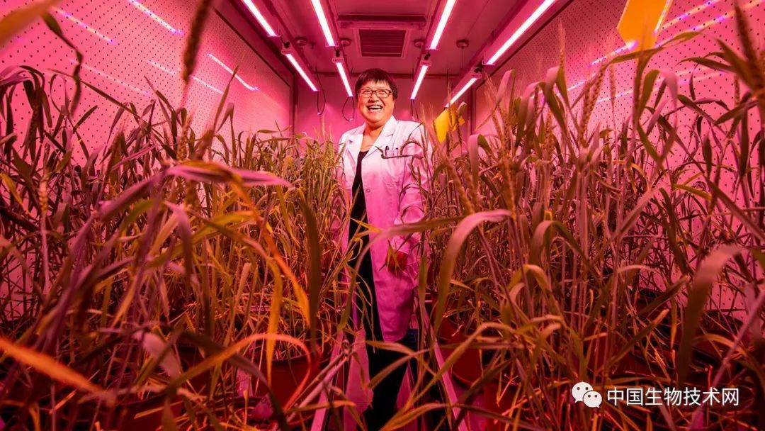 上海生命科学院研究所 上海生命科学院研究所