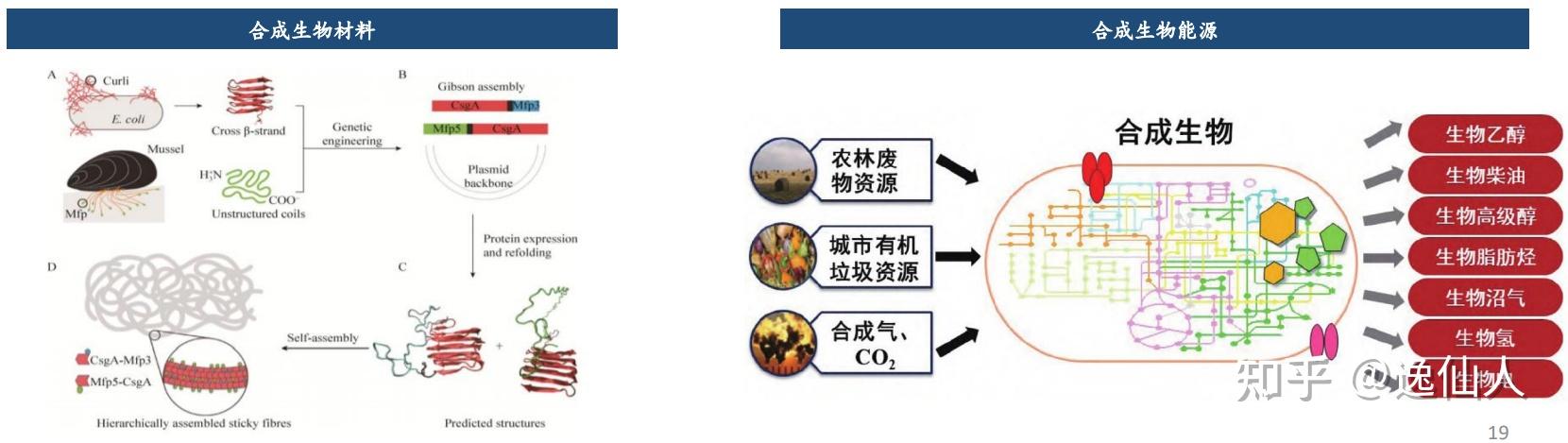 未来科技发展畅想绘画视频 未来科技发展畅想绘画视频