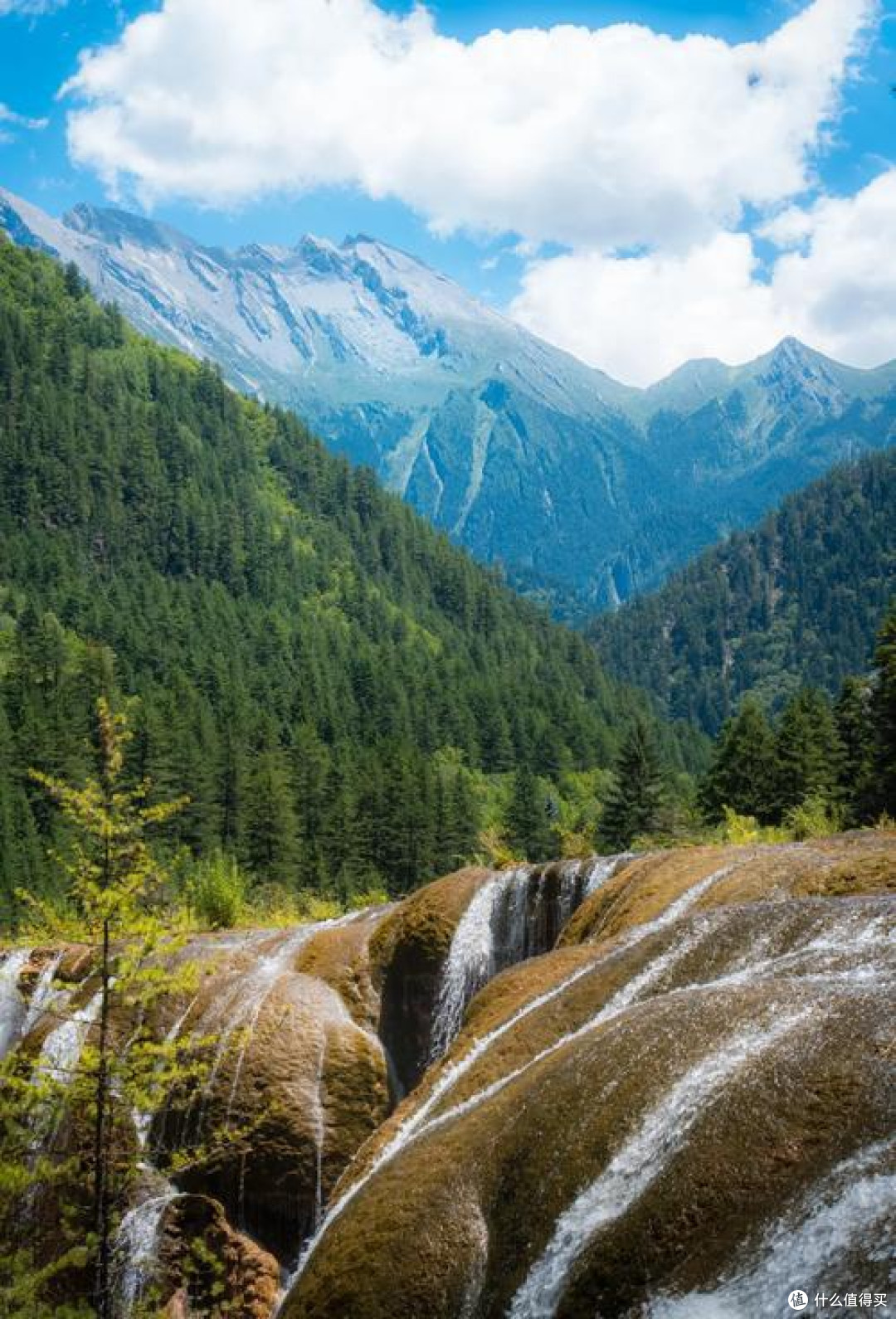 风景什么独好 风景什么独好