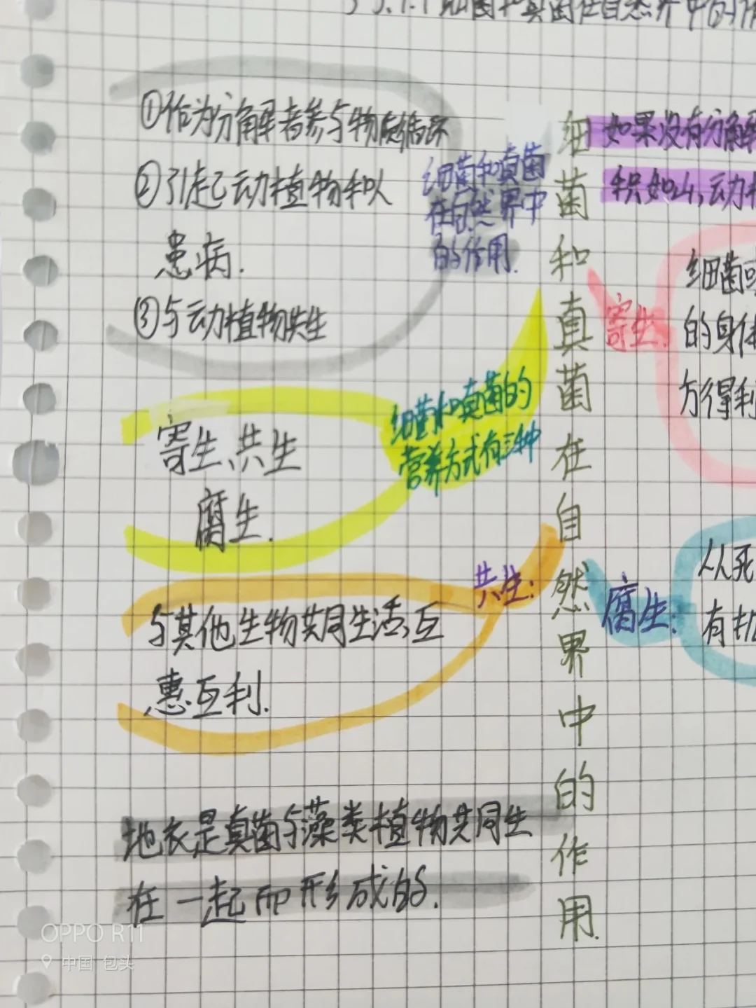 生物八上第一章思维导图
