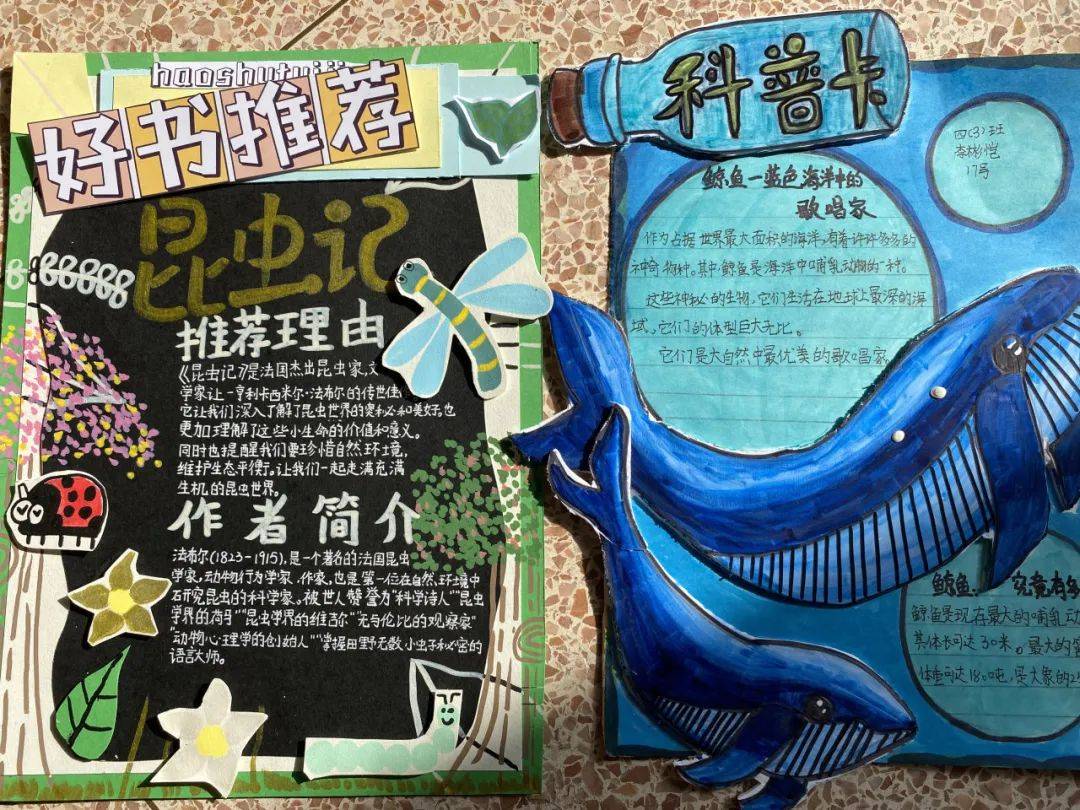 孙颖莎30获胜后吐露心声