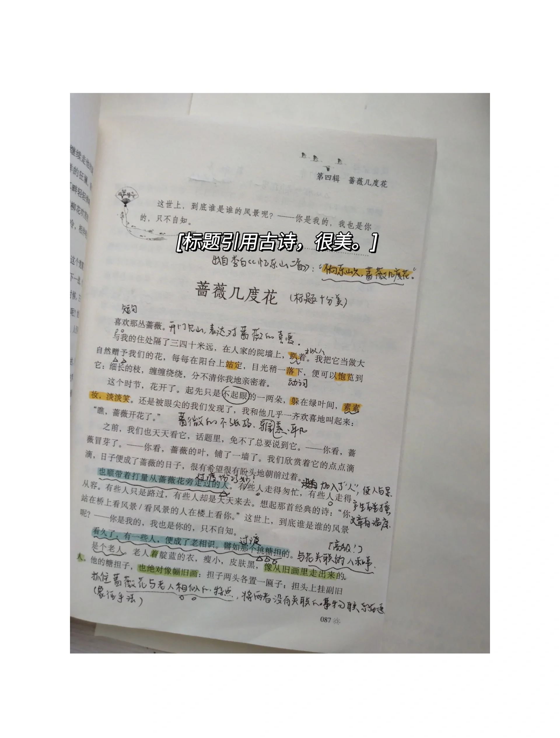 散文标题的作用有哪些