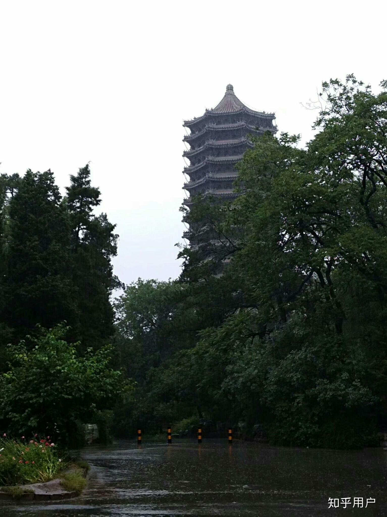 聊城第一实验学校2025年承办过什么竞赛项目物理相关