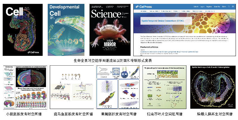 生命科学研究人员有那些研究突破加时间