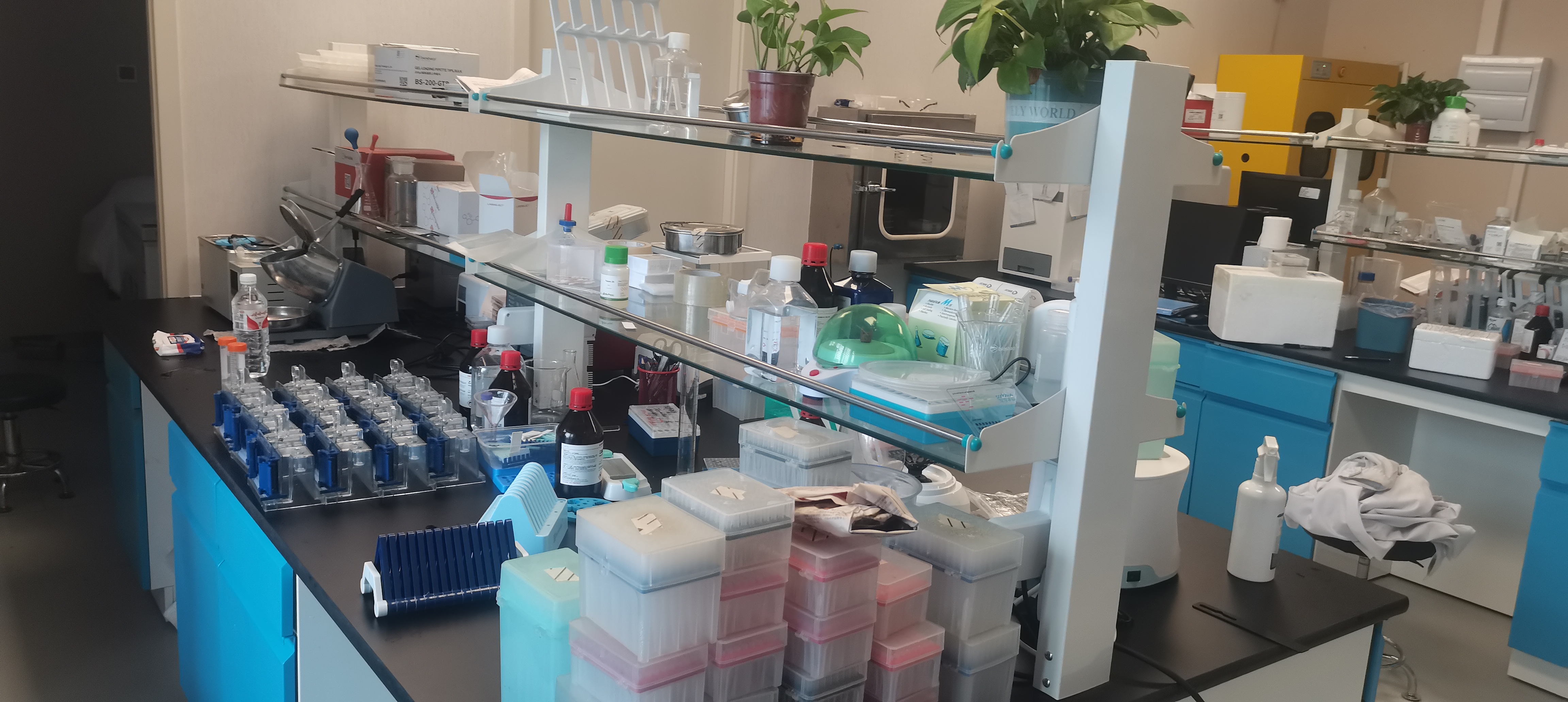 生命科学研究人员有那些研究突破加时间