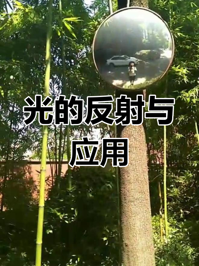 物理世界反射视频完整版 物理世界反射视频完整版