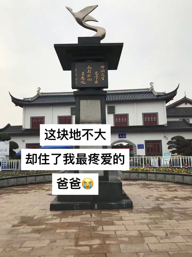 4名小学生街头轮番安慰4岁小孩入口的简单介绍 4名小学生街头轮番安慰4岁小孩入口的简单介绍
