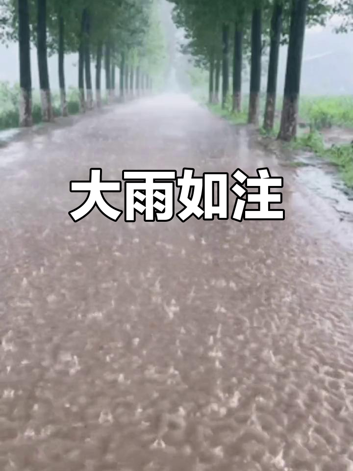 暴雨图片 暴雨图片